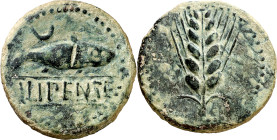 Ilipense (Alcalá del Río). As. (FAB. 1531) (ACIP. 2335). Golpe de cizalla en anverso. 16,54 g. (MBC).