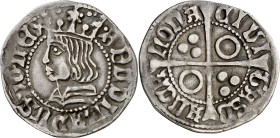 Ferran II (1479-1516). Barcelona. Croat. (Cru.V.S. 1139) (Cru.C.G. 3068a). Ex Áureo & Calicó 14/12/2022, nº 1125. Ex M. Sisó 28/06/1986. 3,10 g. MBC....
