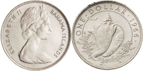 Bahamas. 1966. Isabel II. 1 dólar. (KM. 8). AG. 17,96 g. S/C-.