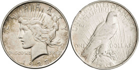 Estados Unidos. 1923. D (Denver). 1 dólar. (KM. 150). AG. 26,71 g. MBC.