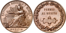 1882. Alfonso XII. Murcia. Exposición Agrícola y Minera. Premio al Mérito Medalla sin grabar, no otorgada. Bella. Bronce. 57,84 g. Ø47 mm. EBC.