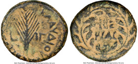 JUDAEA. Herodian Dynasty. Agrippa II (AD 49-95). AE (23mm, 12h). NGC Choice Fine, repatinated. TIBE PIAC (Tiberias) within a wreath / K AY IOY KAICAPO...