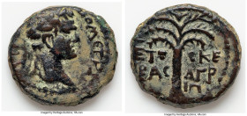 JUDAEA. Herodian Dynasty. Agrippa II (AD 49-95). AE (16mm, 2.81 gm, 12h). VF, altered surface. Dated Year 25 (AD 84/5). ΔOMЄT KAIC-ΓЄPMAN, laureate he...