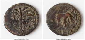 JUDAEA. Bar Kokhba Revolt (AD 132-135). AE middle bronze (26mm, 11.54 gm, 6h). Choice Fine. Dated Year 1 (AD 132/3). Simon Prince of Israel (Paleo-Heb...