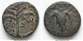 JUDAEA. Bar Kokhba Revolt (AD 132-135). AE middle bronze (25mm, 11.08 gm, 6h). Choice Fine, bronze disease. Dated Year 2 (AD 133/4). Simon (Paleo-Hebr...