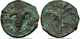 JUDAEA. Bar Kokhba Revolt (AD 132-135). AE small bronze (17mm, 6h). NGC Choice VF. Undated issue of Year 3 (AD 134/5). Simon (Paleo-Hebrew), seven-bra...