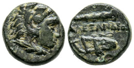 REYES DE MACEDONIA, Alejandro III el Grande. Ae11. (Ae. 1,65g/11mm). 336-323 a.C. Anv: Cabeza de Heracles con piel de león a derecha. Rev: Leyenda gri...