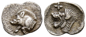 MISIA, Cícico. Hemióbolo. (Ar. 0,36g/10mm). 500-490 a.C. (Klein 265). Anv: Parte delantera de jabalí a izquierda, detrás atún. Rev. Cabeza de león a i...