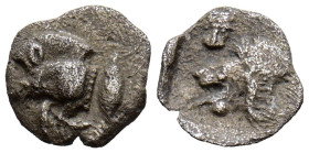 MISIA, Cícico. Obolo. (Ar. 0,33g/9mm). 450-400 a.C. (SNG France 5386). Anv: Parte delantera de Jabalí a izquierda, detrás atún. Rev: Cabeza de león a ...
