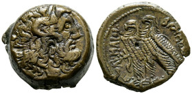 REINO PTOLEMAICO, Ptolomeo VI Philometor. Ae18. (Ae. 9,78g/19mm). 180-145 a.C. Alejandría. (Svoronos 1424; SNG Copenhagen 308). Anv: Cabeza de Zeus-Am...