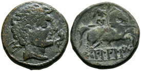 BILBILIS (Calatayud, Zaragoza). As. (Ae. 13,93g/26mm). 120-30 a.C. (FAB-254). Anv: Cabeza masculina a derecha, detrás letra S, delante delfín. Rev: Ji...
