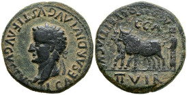 CAESARAUGUSTA (Zaragoza). As. (Ae. 12,34g/28mm). 14-36 d.C. (FAB-361). Anv: Cabeza laureada de Tiberio a izquierda, alrededor leyenda: TI CAESAR DIVI ...