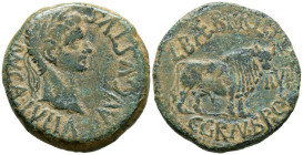 CALAGURRIS (Calahorra, La Rioja). As. (Ae. 11,69g/27mm). 27 a.C.-14 d.C. (FAB-416). Anv: Cabeza laureada de Augusto a derecha, alrededor leyenda: MVN ...