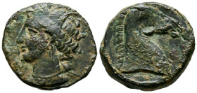 CARTAGONOVA (Cartagena, Murcia). Calco. (Ae. 4,16g/18mm). 220-215 a.C. (FAB-510). Anv: Cabeza de Tanit a izquierda. Rev: Cabeza de caballo a derecha. ...