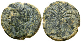 CARTAGONOVA (Cartagena, Murcia). 1/2 Calco. (Ae. 5,41g/21mm). 220-215 a.C. (FAB-532). Anv: Cabeza de Atenas con casco crestado a izquierda. Rev: Palme...
