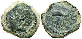 CARTEIA (San Roque, Cádiz). Semis. (Ae. 4,27g/21mm). 80-20 a.C. (FAB-646). Anv: Cabeza de Júpiter a izquierda, delante leyenda: CARTEIA. Rev: Delfín a...