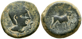 CASTULO (Cazlona, Sevilla). Semis. (Ae. 10,17g/23mm). 180 a.C. (FAB-715). Anv: Cabeza masculina con diadema a la derecha, delante S. Rev: Toro a la de...
