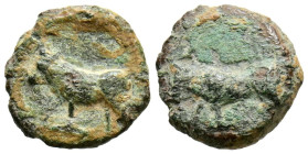EBUSUS (Ibiza). 1/8 Calco. (Ae. 1,05g/11mm). 300-200 a.C. (FAB-906). Anv: Toro a izquierda. Rev: Toro a izquierda. MBC.