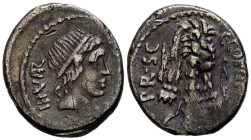 GENS SICINIA. Denario. (Ar. 2,94g/16mm). 49 a.C. Roma. (FFC 1125; Crawford 444/1a). Anv: Cabeza diademada de Apolo a derecha, debajo estrella, alreded...