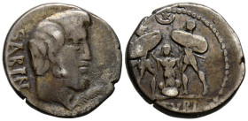 GENS TITURIA. Denario. (Ar. 3,88g/18mm). 89 a.C. Roma. (Crawford 344/1b; FFC 1154). Anv: Cabeza de Tatius a derecha, delante palma, detrás leyenda: SA...