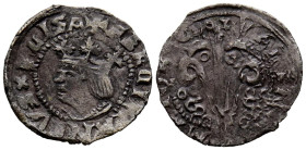 FERNANDO II (1479-1516). Dinero. (Ve. 0,74g/15mm). Valencia. (Cru. V.S. 1215). Anv: Busto coronado de Fernando II, alrededor leyenda: FERNANDVS ELISAB...