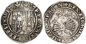 REYES CATÓLICOS (1474-1504). 1 Real. (Ar. 3,43g/26mm). S/D. Sevilla. (Cal-2019-408). Anverso sin marcas, S en reverso. MBC.