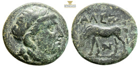 Troas, Alexandria. AE 3rd-2nd century BC. (3.72g, 18mm.12h) ) Laureate head of Apollo to right / Horse grazing to left; ΑΛΕΞΑΝ above, SNG Copenhagen 7...