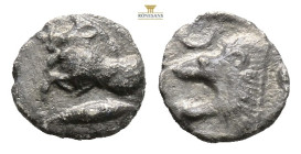 Mysia, Kyzikos AR Obol. Circa 450-400 BC. (0.37g, 7.9mm3h.) Forepart of boar to left, tunny fish behind / Head of roaring lion to left within incuse s...