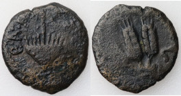 Cesarstwo Rzymskie, Prowincje - Judea,Prutah, Agryppa I 37-44 r.