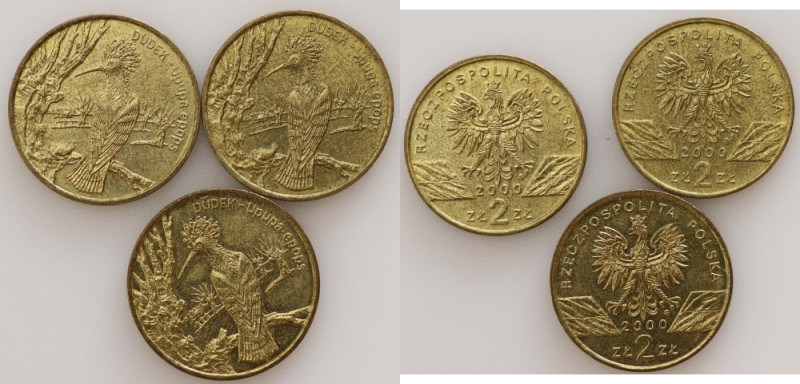 Polska, III RP, 2 złote 2000, Dudek - zestaw 3 sztuk 
Grade: UNC/AU