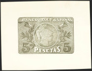 5 Pesetas. 1898. Prueba calcográfica de reverso de un billete no emitido. (Edifil 2023: NE10). Muy rara. SC.