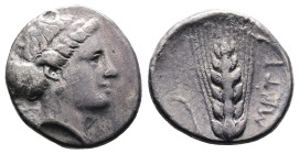 Lucania. Metapontion, circa 400-340 BC. AR Nomos or Didrachm (20.5 mm, 7.33 g.). Head of Demeter to right, her hair bound in a sakkos. Rev. META, Barl...