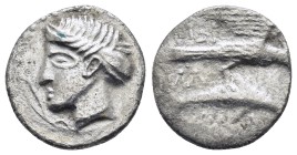 PAPHLAGONIA. Sinope. Siglos or Drachm (Circa 4th-3rd century BC). Contemporary imitation.

Obv: Head of nymph left.
Rev: Sea-eagle standing left, w...