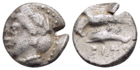 PAPHLAGONIA.Sinope.(Circa 330-300 BC).Drachm.

Obv : Head of nymph left, with hair in sakkos; aphlaston to left.
Rev : Sea-eagle standing left, wit...