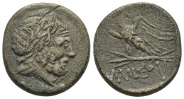 PONTOS. Amisos.Time of Mithradates VI Eupator.(Circa 111-105 or 95-90 BC).Ae.

Obv : Laureate head of Zeus right.
Rev : AMIΣOY.
Eagle standing lef...
