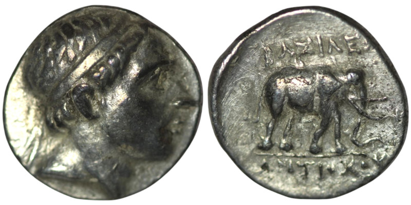 SELEUKID KINGS. Antiochos III 'the Great' (223-187 BC9. Apameia on the Orontes (...