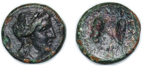 Greece (ancient) 4th - 1st Centuries BC AE Bronze 5.19g VF