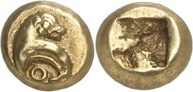 GRÈCE ANTIQUE - GREEK
Ionie, Phocée. Hecté d’électrum (sixième de statère) ND (620-522 av. J.-C.), Phocée.
Av. Phoque nageant à gauche, avec la tête...