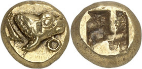 GRÈCE ANTIQUE - GREEK
Ionie, Phocée. Hecté d’électrum (sixième de statère) ND (620-522 av. J.-C.), Phocée.
Av. Protomé de phoque à droite, au-dessou...