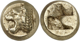 GRÈCE ANTIQUE - GREEK
Ionie, Phocée. Hecté d’électrum (sixième de statère) ND (500-480 av. J.-C.), Phocée.
Av. Tête de lion rugissant à gauche, la l...