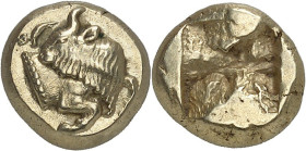 GRÈCE ANTIQUE - GREEK
Ionie, Phocée. Hecté d’électrum (sixième de statère) ND (c.520 av. J.-C.), Phocée.
Av. Protomé de taureau à droite, avec la tê...