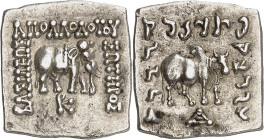 GRÈCE ANTIQUE - GREEK
Royaume de Bactriane, Apollodotes Ier (180-160 av. J.-C.). Drachme carrée de poids indien ND.
Av. ΒΑΣΙΛΕΩΣ / ΑΠΟΛΛΟΔΟΤΟΥ / ΣΟΤ...