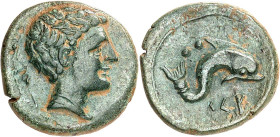 GRÈCE ANTIQUE - GREEK
Espagne, Kese (Vila-Seca). Sextans au dauphin ND (IIe s. av. J.-C.), Kese.
Av. Tête d’Apollon à droite ; un caducée derrière l...