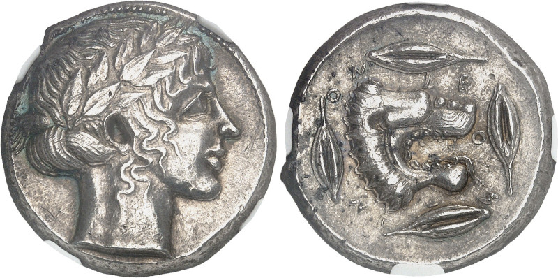 GRÈCE ANTIQUE - GREEK
Sicile, Leontini. Tétradrachme ND (c. 440 av. J.-C.), Leo...