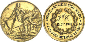ALGÉRIE - ALGERIA
IIIe République (1870-1940). Médaille en or, Comice agricole du Sahel-Douéra, concours de taille de vigne, par Vernon (non signée),...