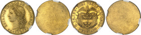 COLOMBIE - COLOMBIA
République. Essais de frappe unifaces d’avers et revers de Diez pesos, par Albert Barre, Flans brunis (PROOF) 1873, Paris.
Av. (...