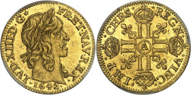 FRANCE / CAPÉTIENS - FRANCE / ROYAL
Louis XIII (1610-1643). Louis d’or à la mèche longue 1642, 2d semestre, A, Paris.
Av. LVD. XIII. D. G (étoile) -...