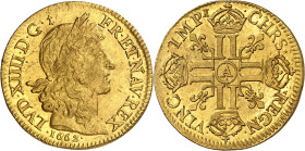 FRANCE / CAPÉTIENS - FRANCE / ROYAL
Louis XIV (1643-1715). Louis d’or juvénile lauré 1662/1, A, Paris.
Av. LVD. XIIII. D. G. - FR. ET. NAV. REX. Têt...