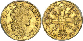 FRANCE / CAPÉTIENS - FRANCE / ROYAL
Louis XIV (1643-1715). Louis d’or juvénile lauré 1668, A, Paris.
Av. LVD. XIIII. D. G (soleil) - FR. ET. NAV. RE...