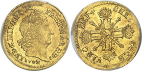 FRANCE / CAPÉTIENS - FRANCE / ROYAL
Louis XIV (1643-1715). Louis d’or de Béarn aux huit L et aux insignes, réformation 1702, vache, Pau.
Av. LVD. XI...